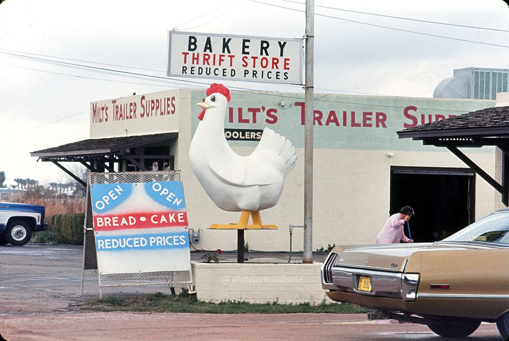 A large fiberglass chicken statue is displayed in front of a baked goods thrift store. Next door is a business named Milt's Trailer Supplies. The photo is a 35mm color slide from 1973.