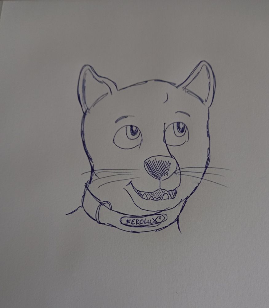 Drawing for Ferolux jaguar 🐈🐈‍⬛