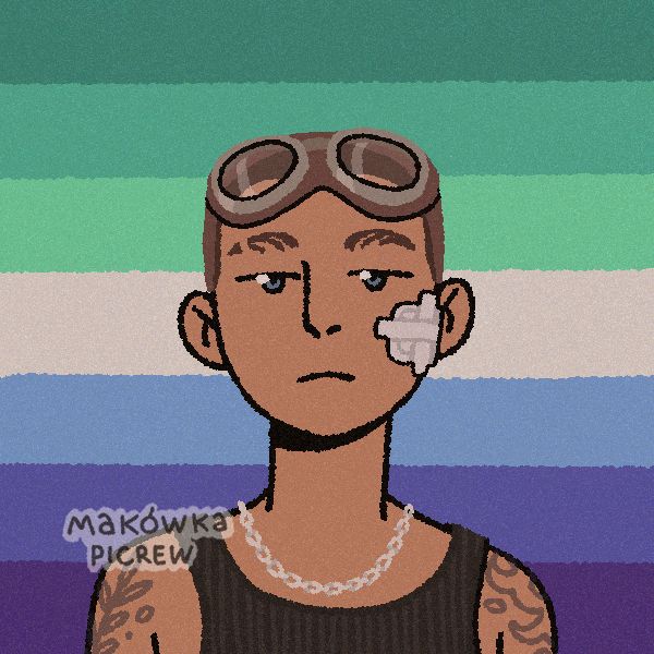 i made myself with picrew/ credits to Makowka on picrew/ YEA YEA IM GAY