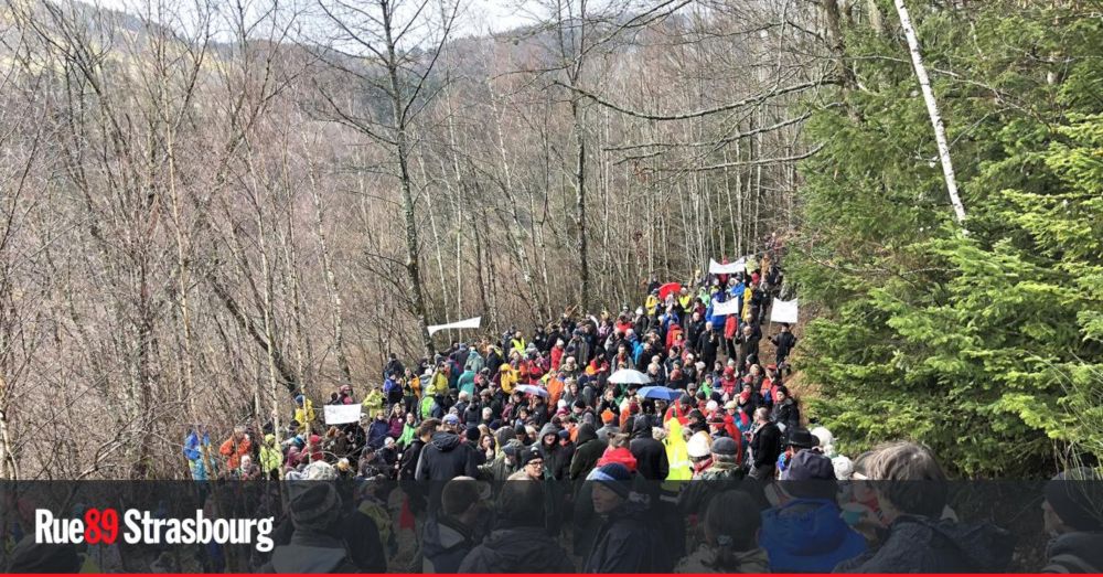 Vosges : des sentiers confisqués aux randonneurs par un propriétaire forestier