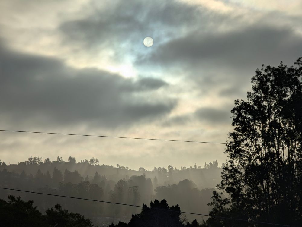 The early morning sun, obscured by clouds, over silhouetted trees on a ridge