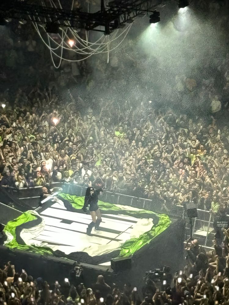 ...Charli XCX! And the crowd goes wild!