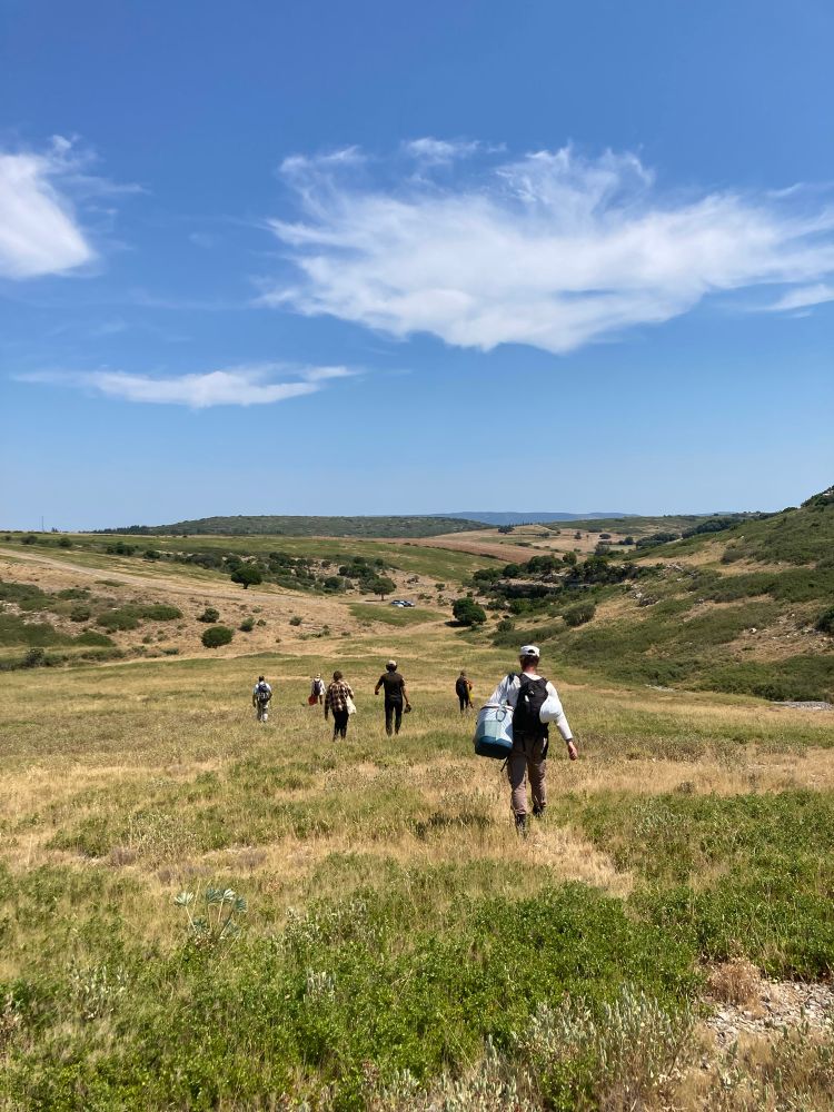 Walking with the team in the Fields
