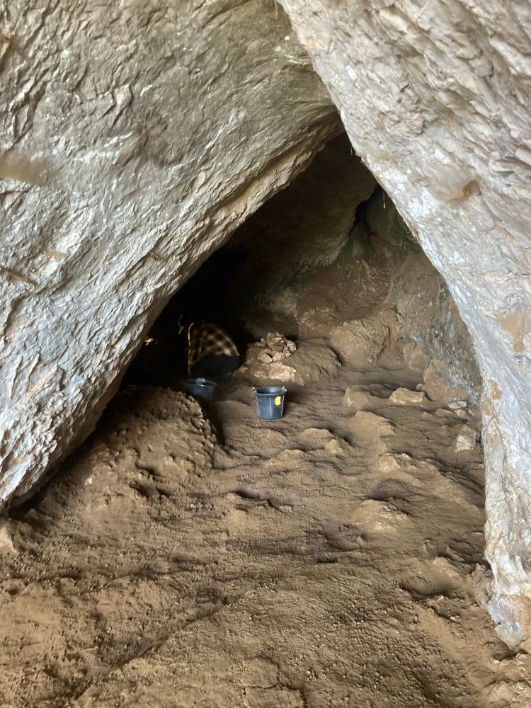 The cave