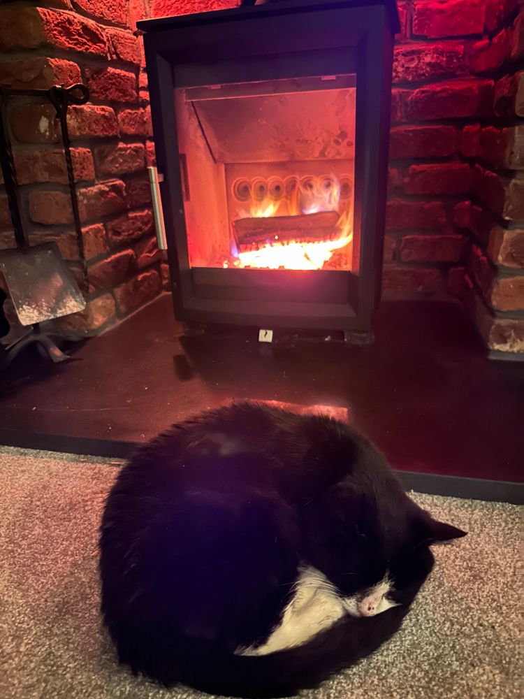 A black and white cat asleep in front of a log burner