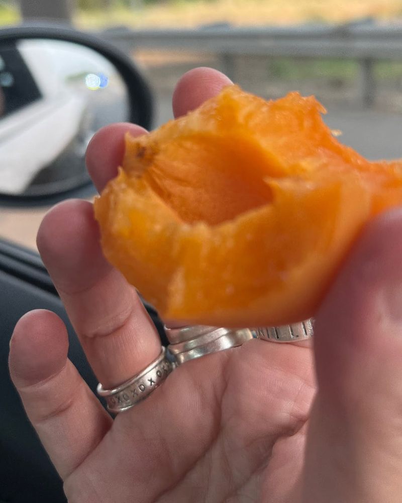 I was exhausted and didn’t take many pictures at the Museum if Flight where our end party was. But I did get @cornythecorn and @frogain and ate organic apricots from Yakima