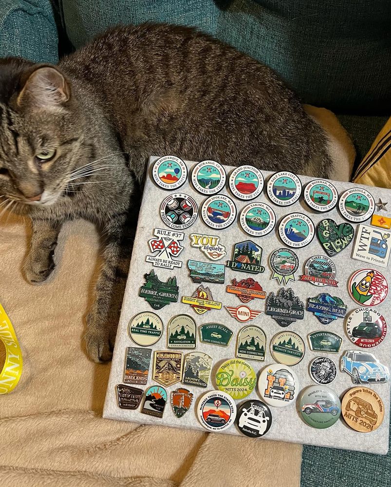 We bought the squares at Dollar Tree -they also have cork. Nat is putting all the Mini takes the States pins on them. Better than on the lanyards.