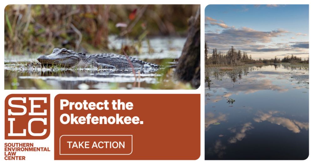 Protect the Okefenokee