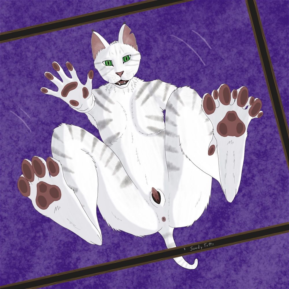 Digital art. Cat, with holes.