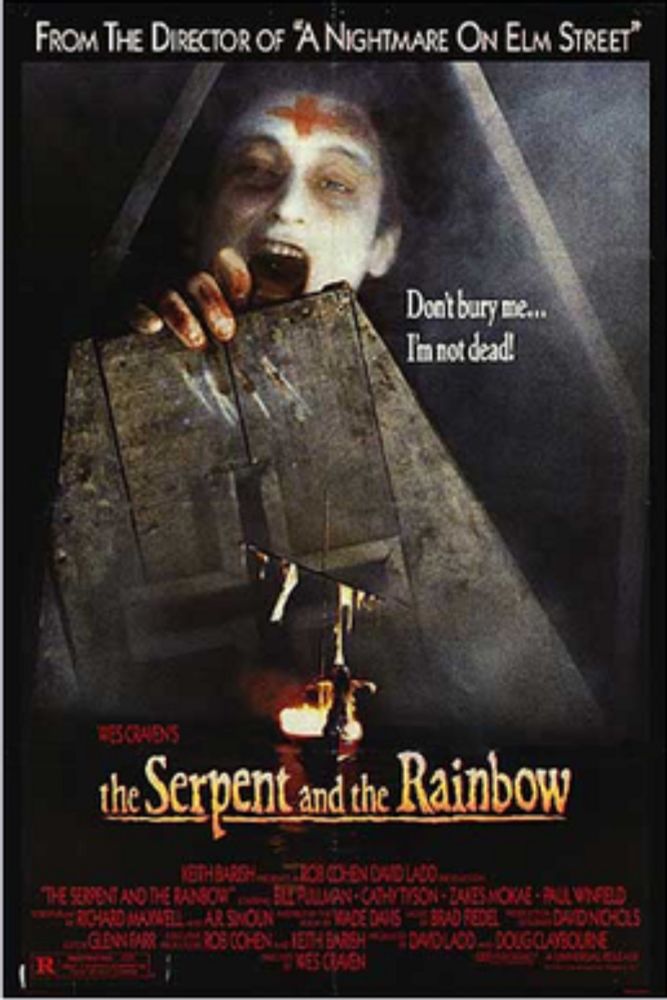 The Serpent and the Rainbow (film) - Wikipedia