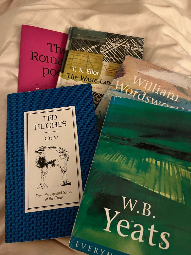 Collection of volumes of poetry in small cheap paper back editions. Many of which are dog eared everyman editions or faber and faber.
Listed
W.B Yeats - Selected Poems
Ted Hughes - Crow
T.S. Elliot - The Waste Land
W. Wordsworth - selected Poems
S.T. Coleridge - selected poems