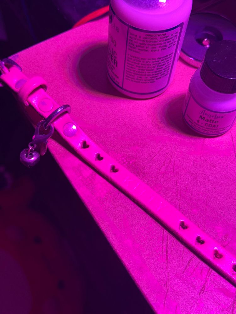 A bright pink leather collar with heart cutouts and tooling that reads “KITTY” lying on a desk, clearly in the process of being painted. Bottles of Angelus leather finishers are visible in the background.