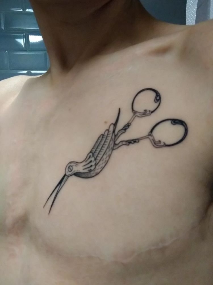 A photograph of a new tattoo on my chest. A pair of bird-shaped scissors has its beak/blades pointing toward my top surgery scars. 