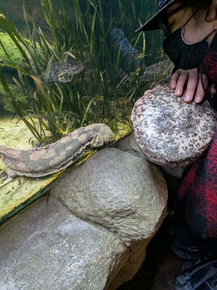 Me, in a black hat and face mask and black and red scarf, gazing lovingly at the Salamander. It seems okay with this. 