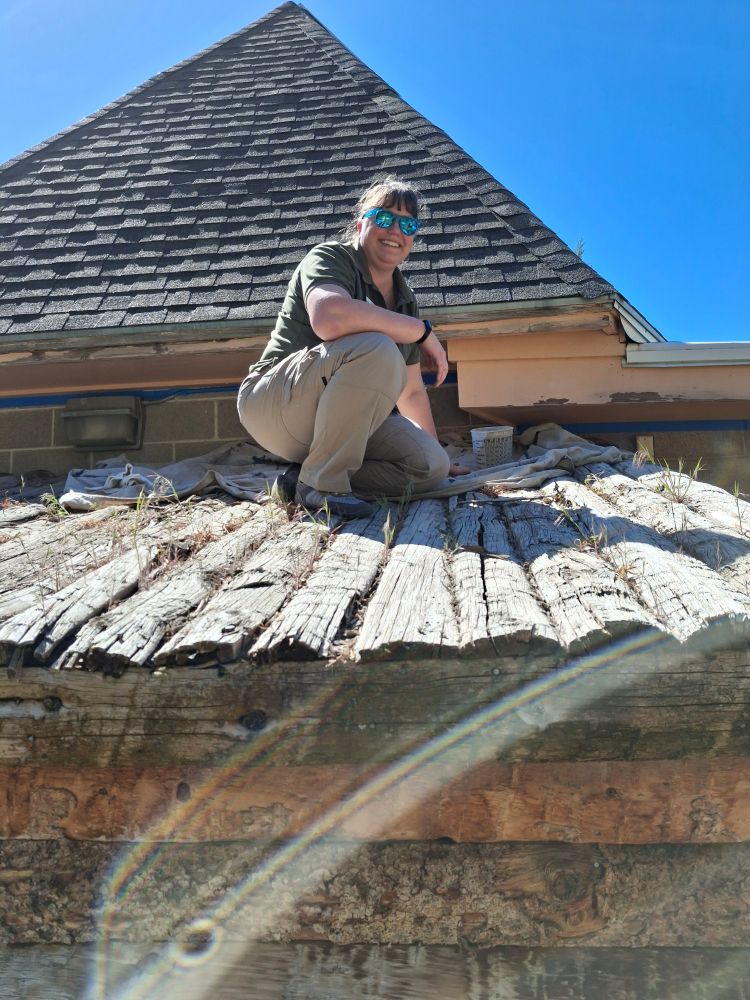 I'm on the roof of the giant tortoise shed at the zoo, to paint the trim.
