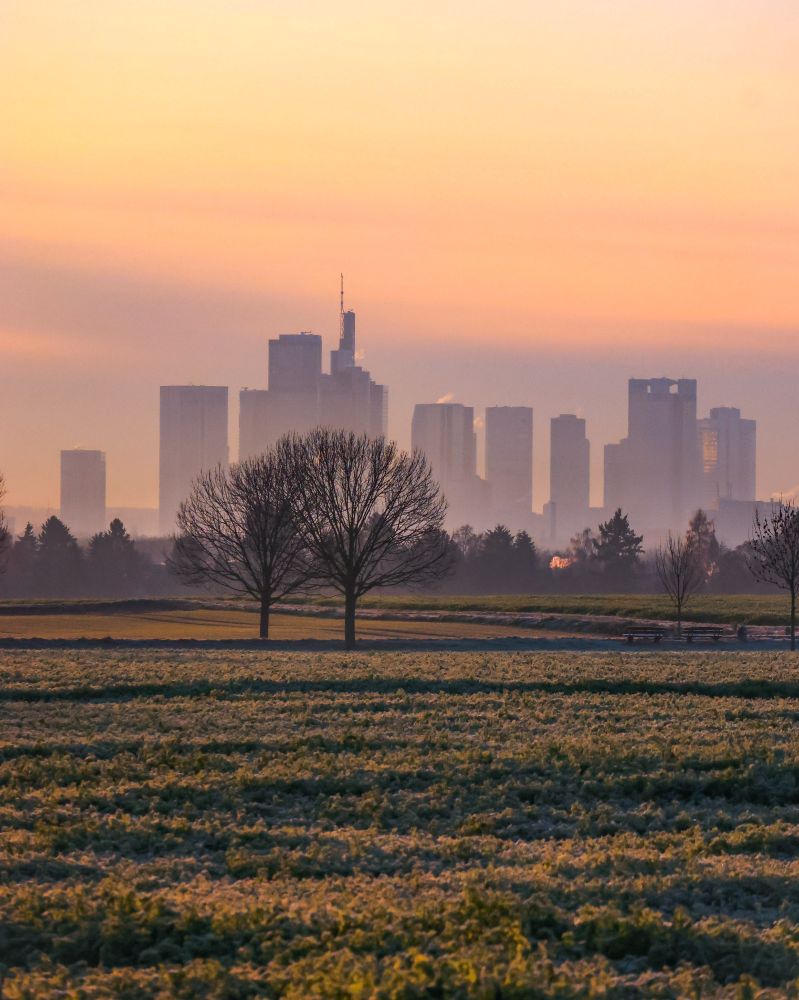 Die Frankfurter Skyline im Sonnenaufgang von Oberursel aus betrachtet. Foto: Jan Hassenpflug