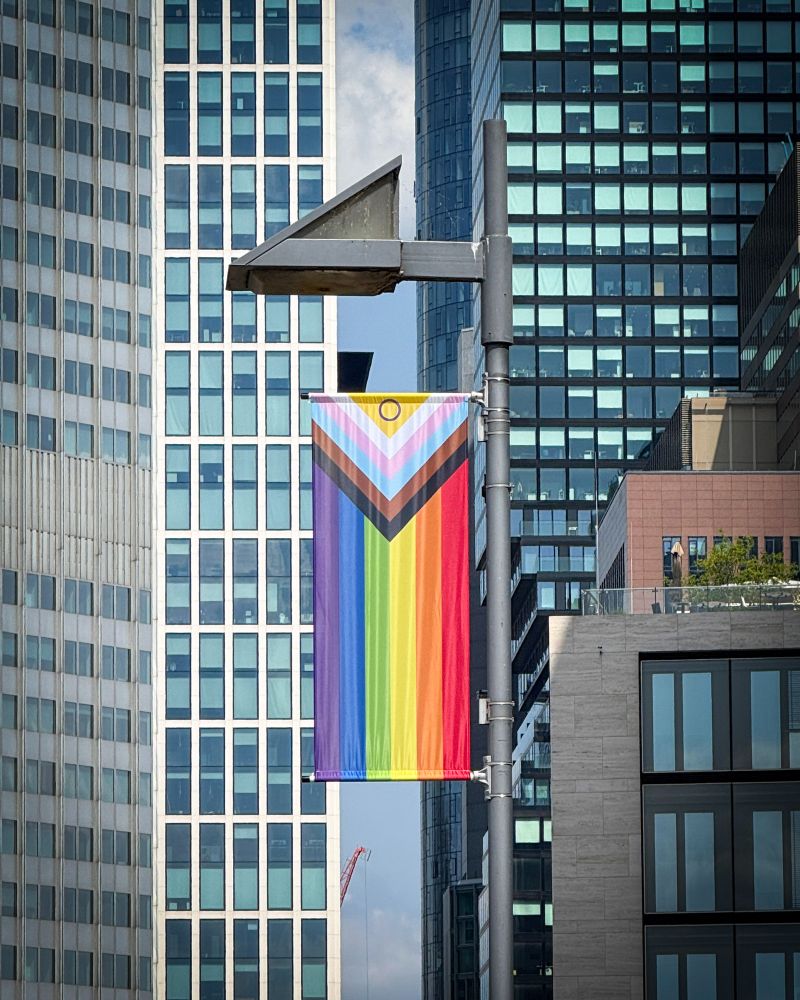 Die Progress Pride-Flag an der Untermainbrücke. Foto: Jan Hassenpflug