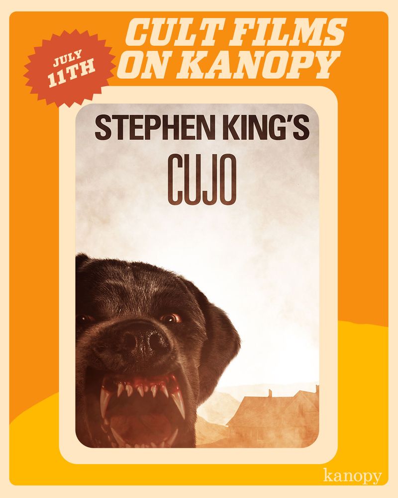 Cult Films on Kanopy July 11th. Features the poster for Stephen King's Cujo. An angry dog is shown with a house behind it.