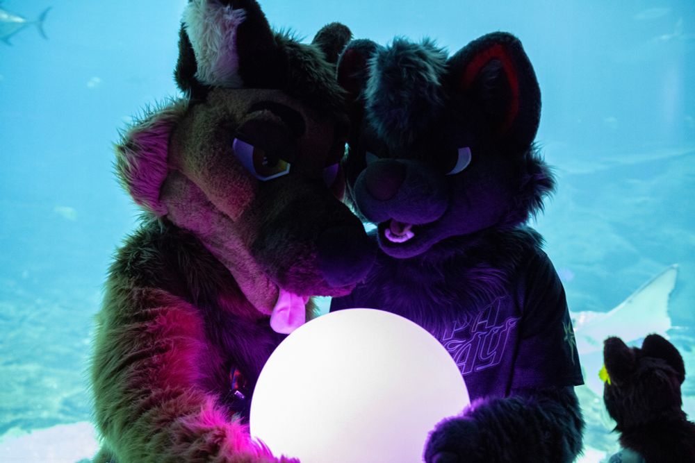 Trip and Dac at the GA Aquarium pondering a mysterious orb together