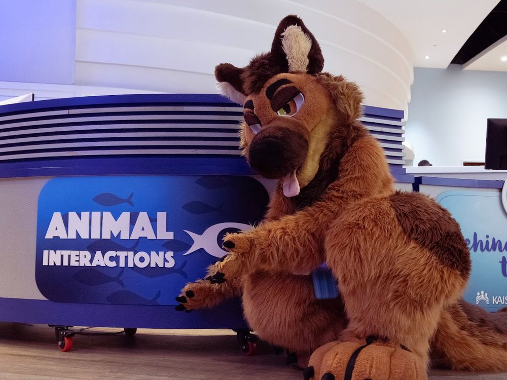 Trip kneeling next to a sign at the Georgia Aquarium that says "Animal Interactions"