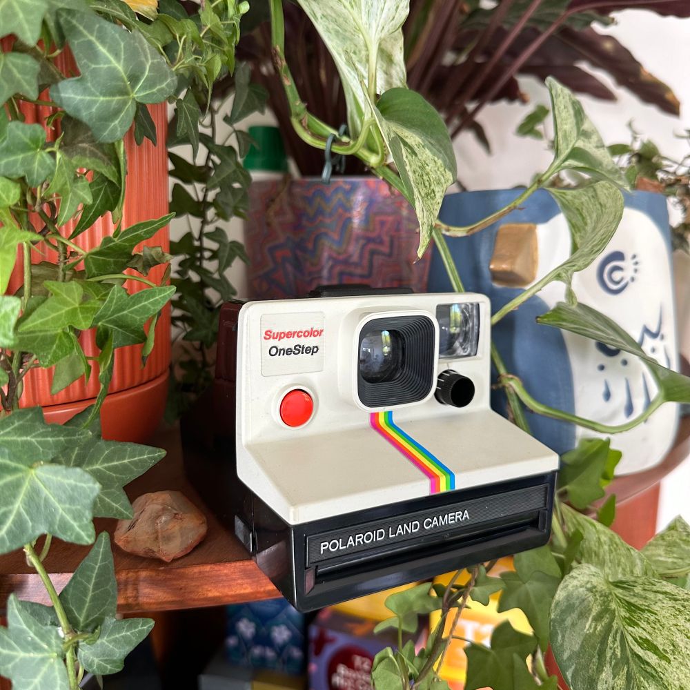 A Polaroid Supercolor OneStep displayed surrounded by potted plants. 