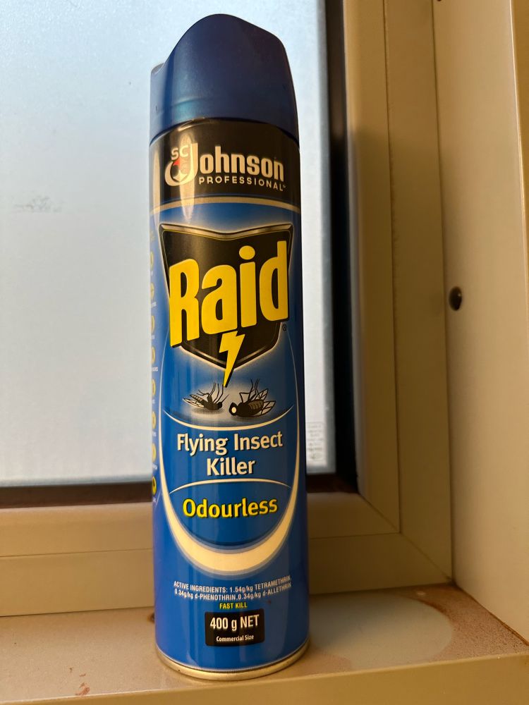 A can of Raid-brand “flying insect killer” sitting solidly on terra firma. 