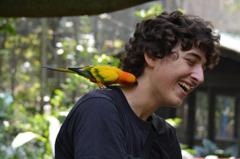 A sun conure sits on my right shoulder, nibbling my neck as I lean slightly away from it, a radiant smile forming around a deep laugh. 