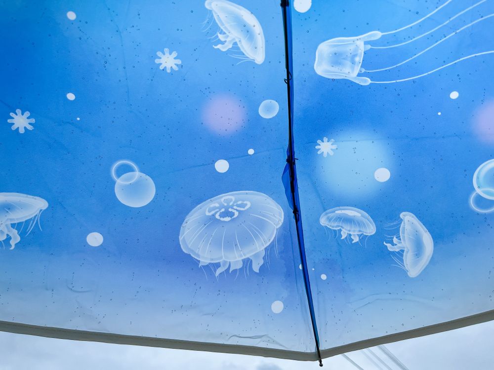 くらげが描かれた半透明のビニール傘の写真です。