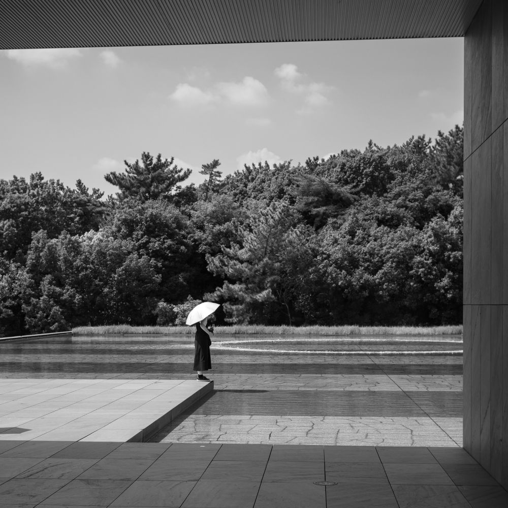豊田市美術館、庭園の写真です。