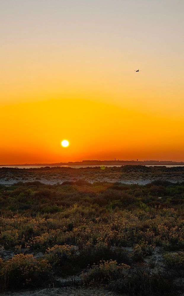 Sunset in Ilha Culatra, Portugal, with an airplane approaching Faro airport