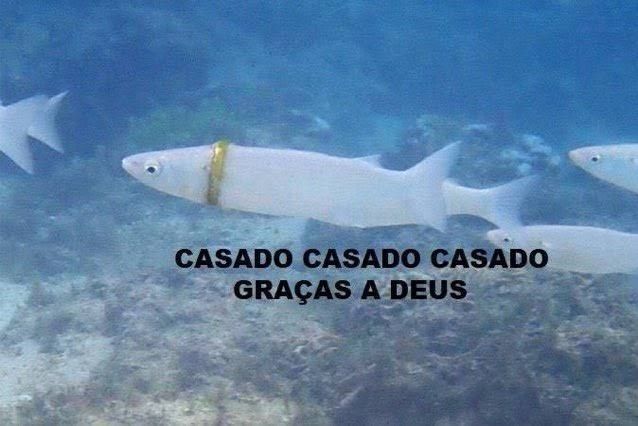 peixe de aliança casado graças a deus