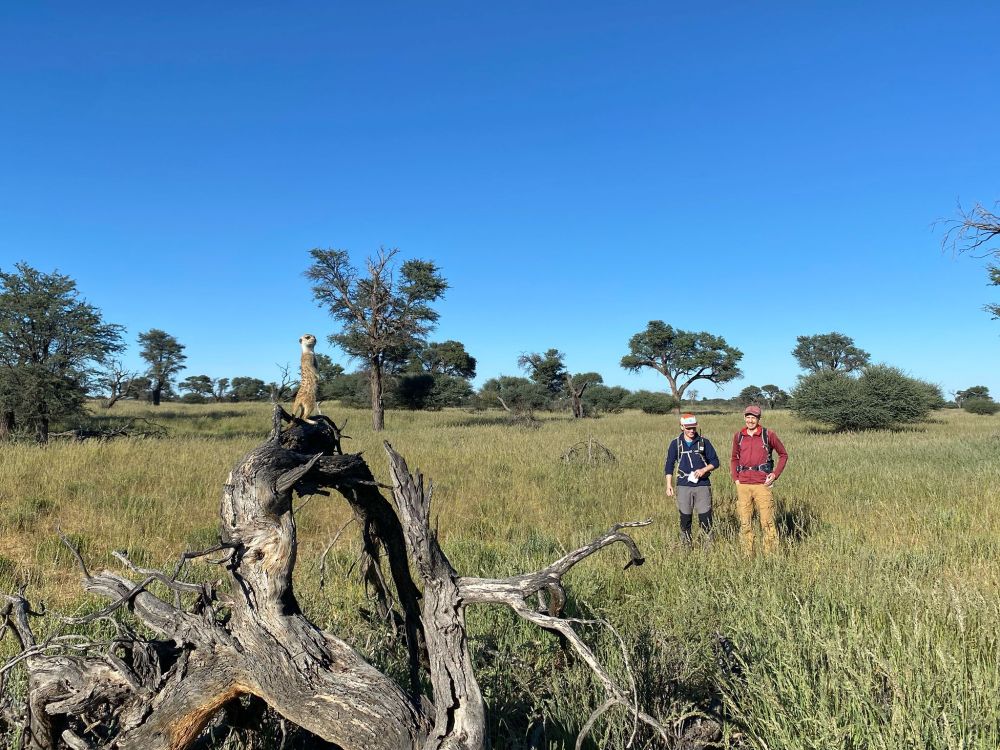 Researchers Josh Arbon and James Robertshaw watching a meerkat sentinel in the Kalahari.