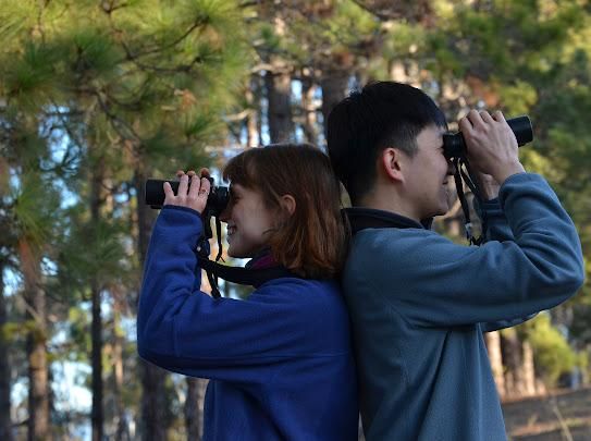 Masters student Lola von Kietzell and PhD student Chun-Chieh Liao looking for their study white-winged choughs in Canberra, Australa.