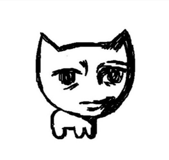 a jaded cat, rather nonplussed about the current weather.