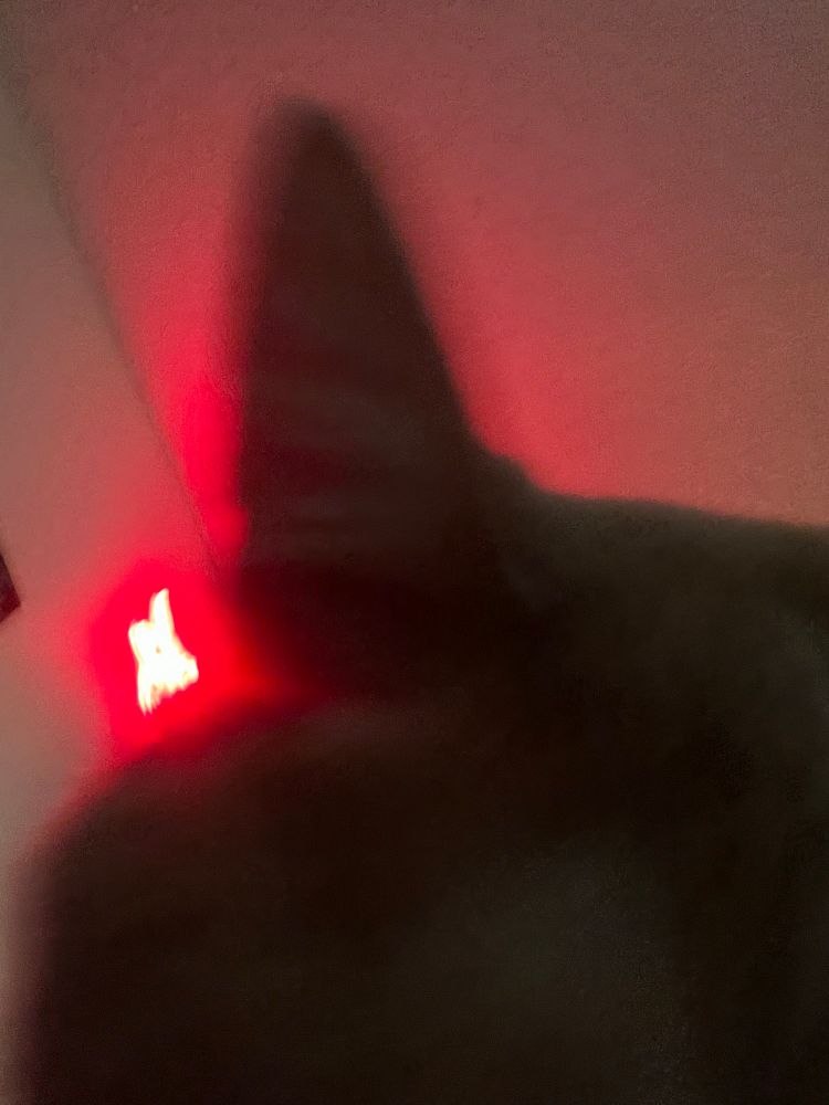 A blurry photo of an orange tabby’s head at an amusing angle