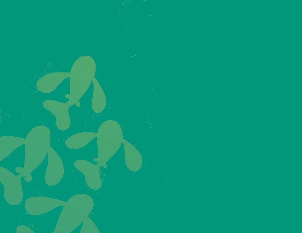 Four light green fish swim up from the bottom left corner of a green rectangle.