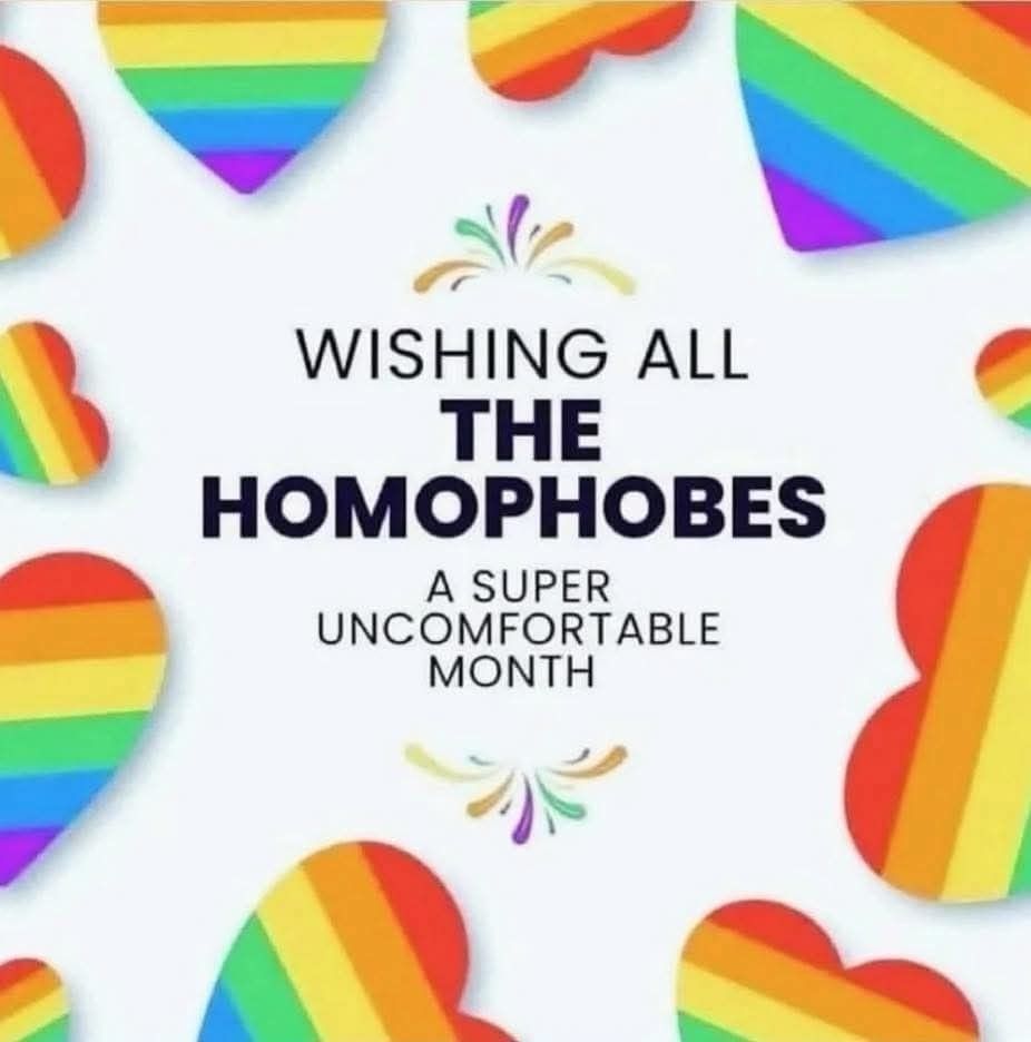 White background with rainbow hearts surrounding the text that says “Wishing all the homophobes a super uncomfortable month” 