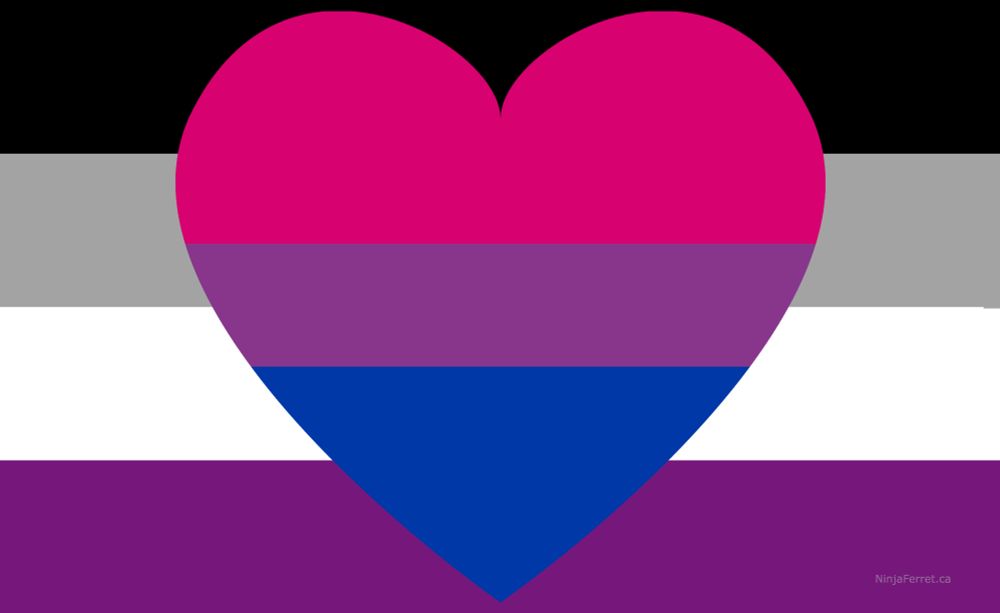 Biromantic Asexual Flag: A heart with the bisexual flag in it (hot pink at the top, bold blue at the bottom, and a smaller purple horizontal stripe in the middle) set atop the asexual flag in the background (4 equal horizontal stripes with black at the top, then gray, then white, and purple at the bottom). Not a widely recognized flag, but has common enough elements that it is often understood by those familiar with pride flags.
