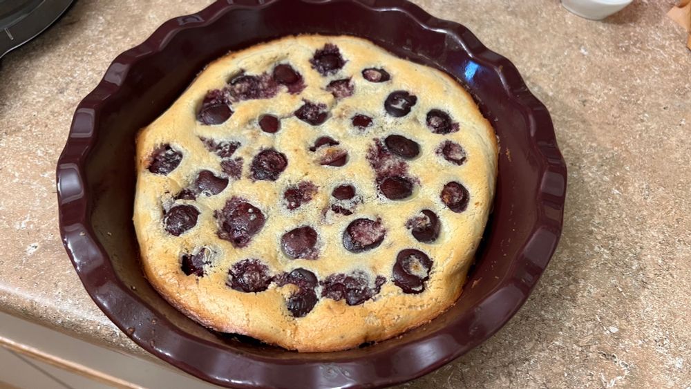 A round stoneware pie dish with a golden cherries clafoutis baked in it full of big round dark red cherries 