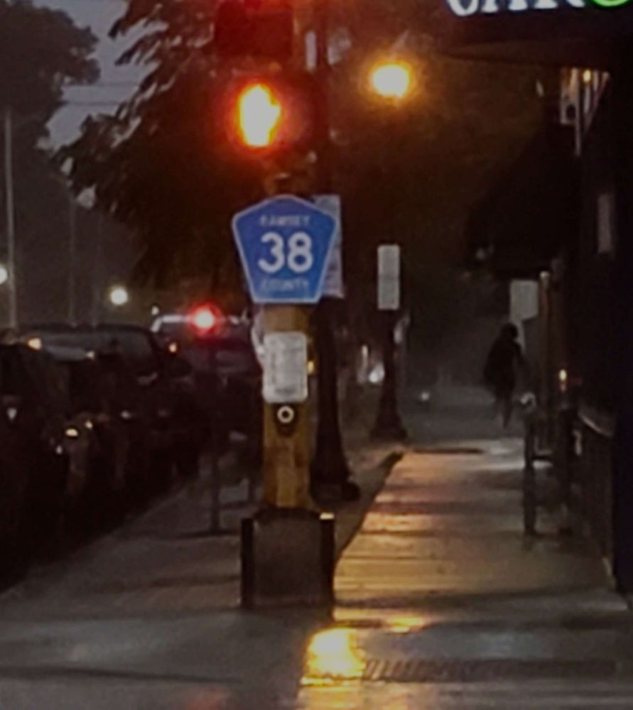 cars to the left with a wavy bit of cloudy sky silhouetted by trees, street lights reflect on water. near center is a crosswalk pole with a sign saying 38 and a light saying not to walk, on the right is a silhouette of someone hurrying into a shop