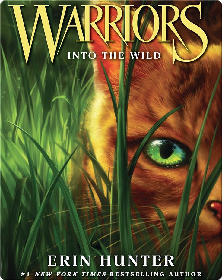 book cover for Warrior Cats: Into The Wild by Erin Hunter. the cover shows half of the face of an orange cat looking towards the viewer partially obscured by grass. 