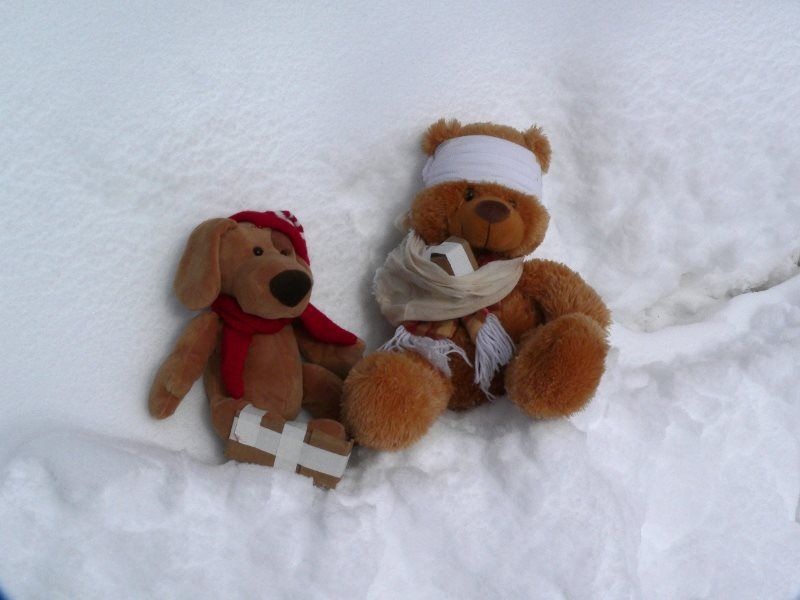 A stuffed dog, with leg in splint, and a teddy bear with bandaged head and its arm in a sling. Freezing their fuzzy butts in a snowbank.