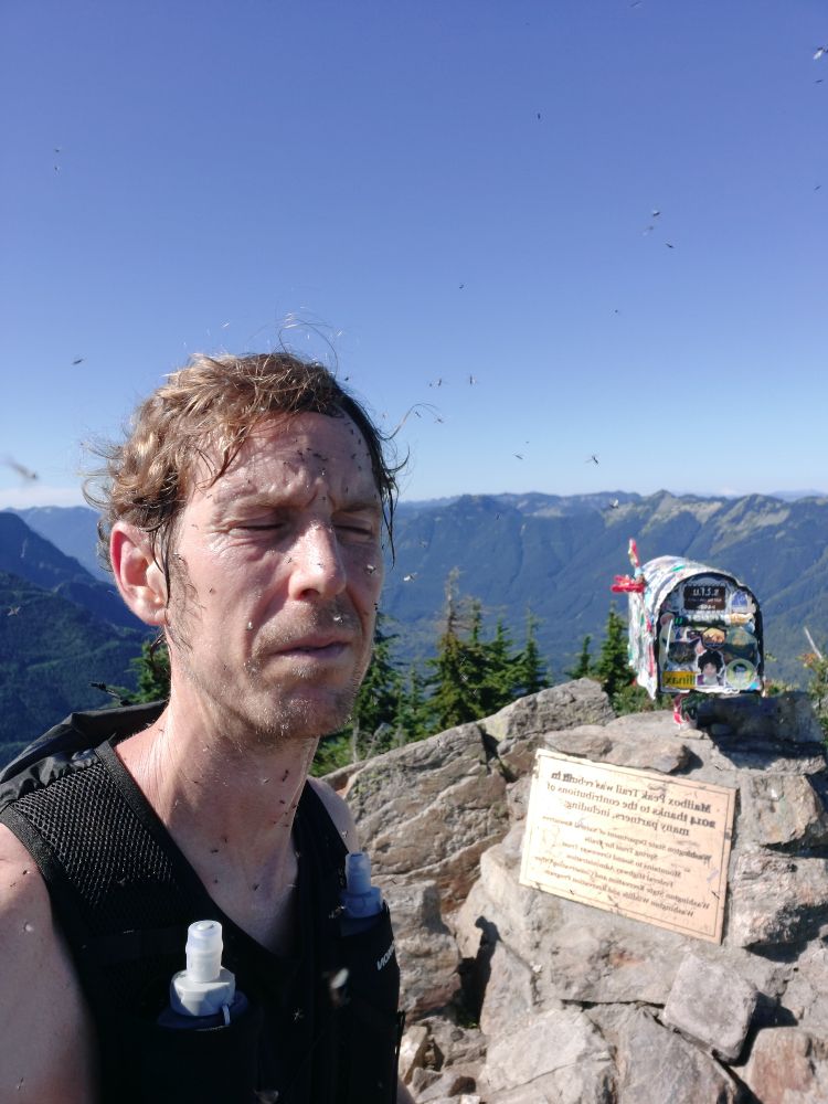 Selfie at Mailbox Peak being swarmed by bugs. 