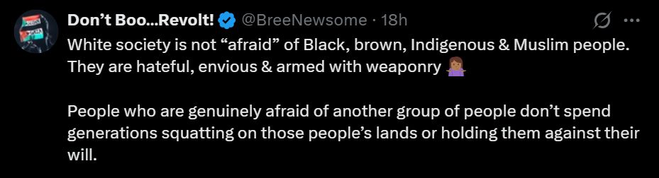 Bree Newsome insights from Twitter