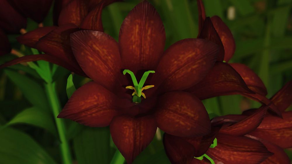 A close up shot of a Yukinoshita flower.