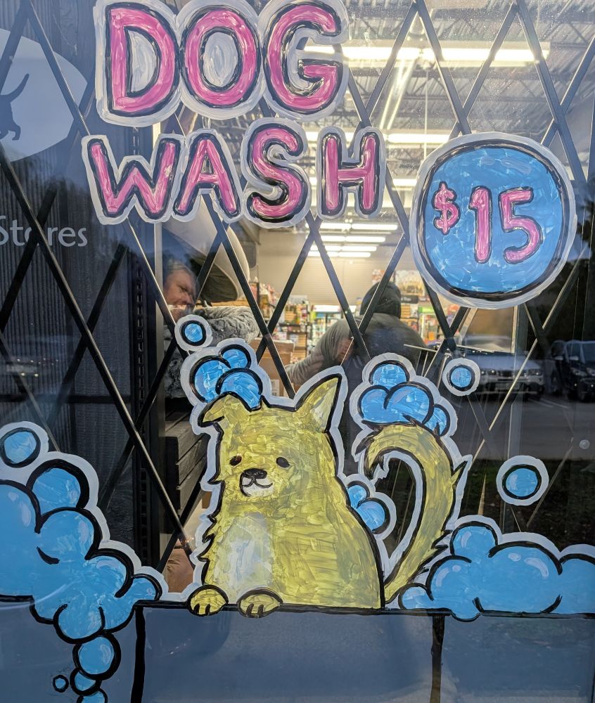 There is a sign painted on a window. A small, cartoonish yellow dog is at the center of a sign advertising dog washing for $15.