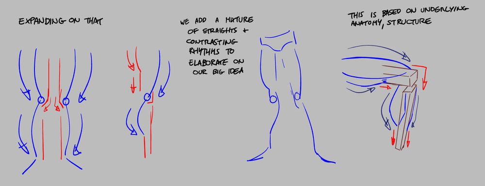 Expanding on that

The same blue sketches of leg rhythms as before, but now there are a combination of straights and contrasting rhythms drawn overtop in red to show where we can find structure or smooth out our intense rhythms. Text reads "we add a mixture of straights and contrasting rhythms to focus on our big idea. This is based on underlying anatomy, structure." There is another sketch of this all pulled together in one drawing so that it can be seen how it all works together in a unified sketch rather than drawing overtop of an existing one, and a sketch of the basic leg anatomy showing structure of the knee and lower leg bones being overlapped by significant superficial muscles, with color coded arrows showing the contrasting rhythms and the structural straights
