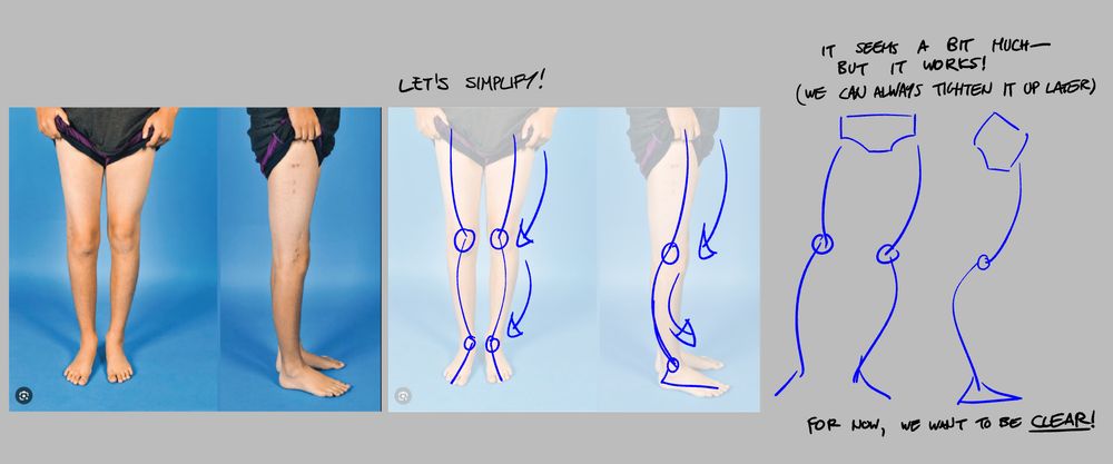 A photo of legs shown from the front and side. Beside it, the words "let's simplify!" and a breakdown of the most basic rhythms found in those angles. For the front, it bellows outward as if bouncing against a surface. For the side, it dives back before adjusting at the knee and pulling forward towards the foot.

More text, saying "it feels a bit much-- but it works! (We can always tighten it up later). For now, we want to be CLEAR!" And then sketches of the rhythms pushed so it's obvious where they are going and how they have gotten there