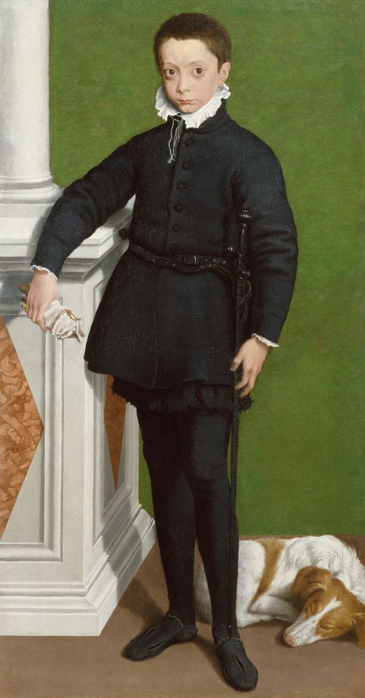 Portrait of 9-year old Marquess Massimiliano Stampa with his dog sleeping by his feet by Sofonisba Anguissola, 1557.
Museum: The Walters Art Museum