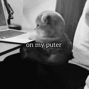 foto em preto e branco de um filhote de gato sentado na frente de um notebook com a legenda: "on my puter"